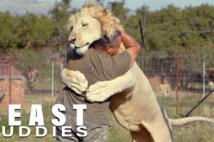 The Man Who Cuddles Lions | BEAST BUDDIES