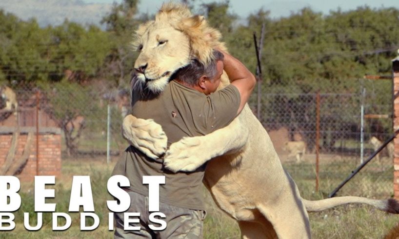 The Man Who Cuddles Lions | BEAST BUDDIES