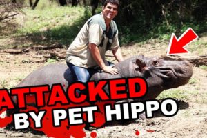 The TERRIFYING Final Moments Of Marius Els : MAULED By A Hippopotamus