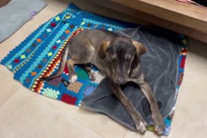 The boy that was abandoned is safe in the shelter - Takis Shelter