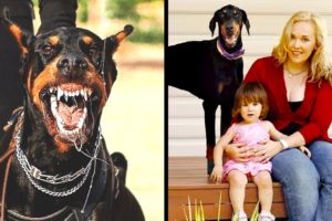 This Family Adopted A DOBERMAN But After 5 Days They Heard A SCREAM