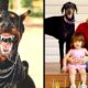 This Family Adopted A DOBERMAN But After 5 Days They Heard A SCREAM