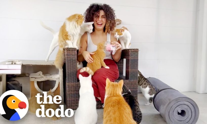 This Woman Rescued Over 200+ Stray Animals | The Dodo