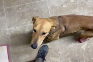 This is Julia right now 😍A very happy girl 🥰- Takis Shelter