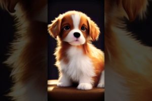 Top 10 Cutest Dog In The World #dog #dogs #trending #doglover #cute