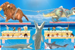 Tug of War Woolly Mammoth Wild Animals Vs T-Rex Dinosaur Who Will Win Animal Revolt Battle Simulator