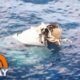 US military Osprey crashes off coast of Japan, killing at least 1