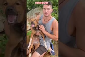Viral inspiring Dog Rescue Must See! #shortsfeed #youtubeshorts