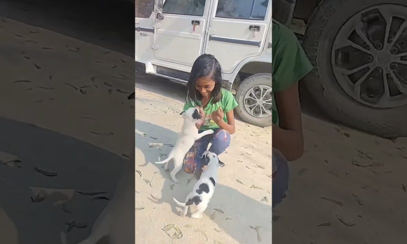 cute puppies roti khate hue