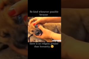 dog rescue | animal rescue🙏🏻 #shorts #animals #animalrescue #rescue