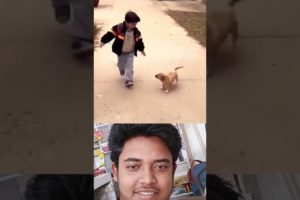 tere jaisa yaar kaha #shorts #youtubeshorts #animal