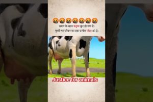#. video ko  jyada se jyada share kre  #justice for animals #trending shorts  # youtube shorts