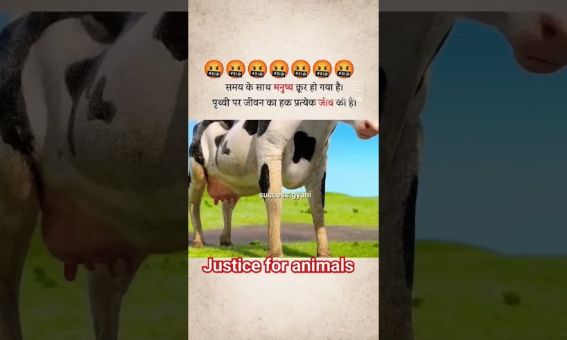 #. video ko  jyada se jyada share kre  #justice for animals #trending shorts  # youtube shorts