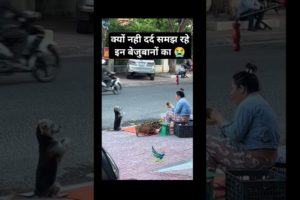 कैसी दुनिया है 😭🙏 #rescue #dog #shorts #viral #ytshorts #animal