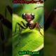 चींटी और कबूतर की कहानी! #story #short#hindistories