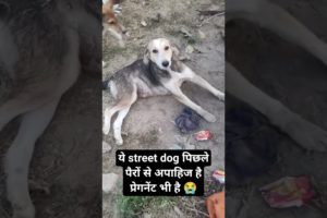 बेजुबानों की सेवा करें #dog #shorts #ytshorts #voiceless #streetdog