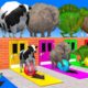 Animal Game: Lion, Hippo, Gorilla, Elephant Cross Color Fountain - Animal Fountain Crossing 99