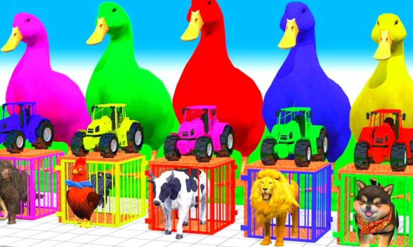 5 Giant Duck, Monkey, Cow, piglet, chicken, mammoth, sheep, zebra, Transfiguration funny animal 2024