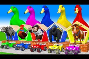 5 Giant Duck, Monkey, Piglet, chicken, zebra, dinosaur, Sheep, Transfiguration funny animal 2023