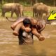 A Man Rescues Drowning Baby Elephant. Then the Herd Surprises Everyone with an Unexpected Response