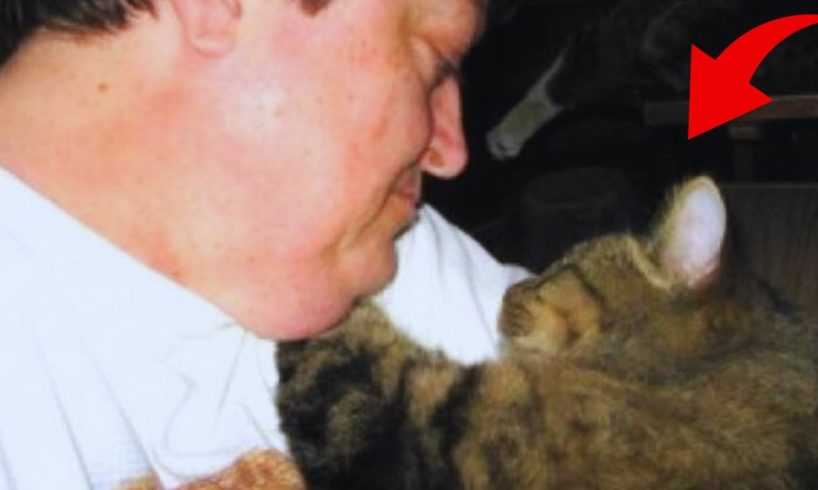 A courageous cat escapes from a shelter to find his rescuer.