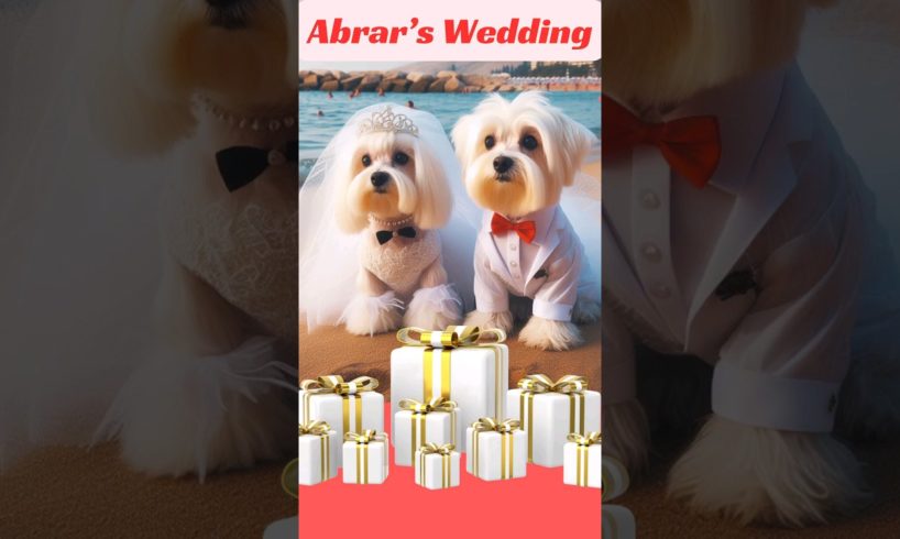 Abrar's Entry Cute Puppies #shorts #viral