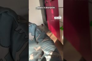 Activity 11 : RESCUE THE ANIMALS #toddleractivites #youtubeshorts #baby