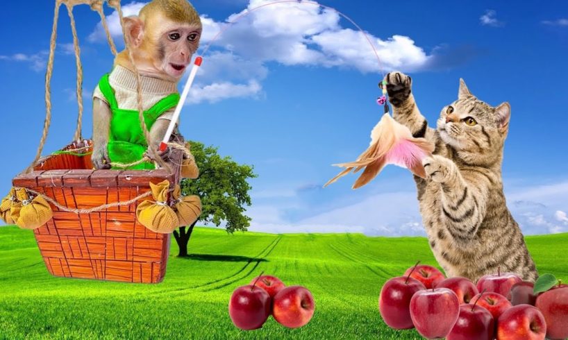Anh Hùng Khinh Khí Cầu: Khỉ Con Chu Chu Thông Minh Giải Cứu Báo Thủ Meo Meo - Hoạt Hình Động Vật