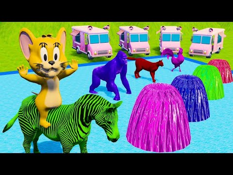 Animal Game: Lion, Hippo, Gorilla, Elephant Cross Color Fountain - Animal Fountain Crossing
