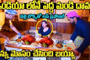 Arabian Special Huge Mandi //Dawath Restaurent lo Hangama //  Mandi Biryani / BiggestMandi in India