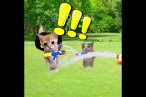 BANANA CAT 🍌🐱 BABY PLAYS WITH WATER GUNS AND GETS ATTACKED #catmemes #cat #bananacat #shorts #fyp