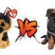 Beanie Boo Dogs VS Super Cute Puppies | Cute Puppy Vids | Choose your favourite?