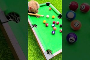 BiBi Monkey plays Billard so cool😍 #animals #monkey #asmr