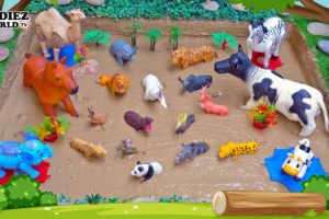 Big Horse, Cow, Zebra, Camel & Wild Zoo Animals Muddy Adventure! Fun Learning through Play