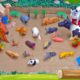 Big Horse, Cow, Zebra, Camel & Wild Zoo Animals Muddy Adventure! Fun Learning through Play