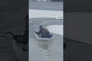 Brave Firefighter Rescues Dog From Frozen Lake | Hero of the Week