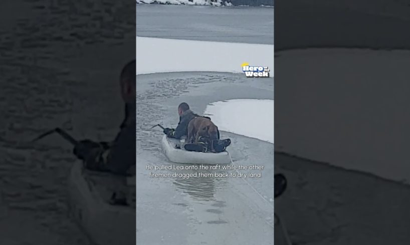 Brave Firefighter Rescues Dog From Frozen Lake | Hero of the Week