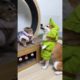 Cat And Dog Playing Funny Aggressive Animal #petlovers #animals #funnypets