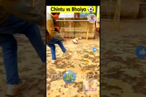 Chintu vs bhaiya ⚽️ cutest puppies funny like cartoon hindi #cutepuppies #foufoupuppy