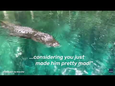 Close Crocodile Call || Near Death Captured