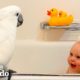 Cockatoo And Baby Boy Do Everything Together | The Dodo Soulmates