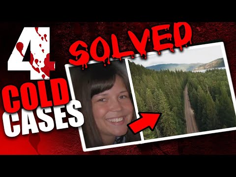 Cold Cases That Were Solved Recently | True Crime Documentary | Compilation