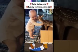 Cute Baby and funny fawn reactions🦌😍💥 #shorts #ytshorts #youtubeshorts #viral #respect #fawn #deer 😍