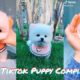 Cute Puppy TikTok Compilation | Cute Puppies I found on TikTok