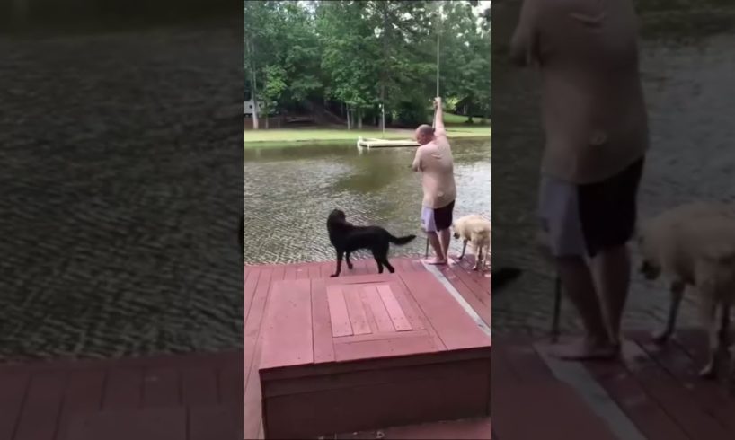 Dogs Rescues Their Owners From Water 2 #shorts