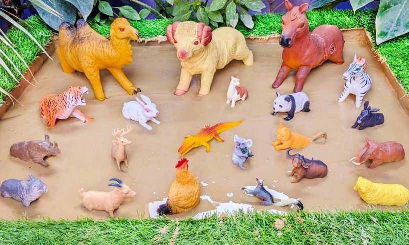 Domestic Camel, Goat, Horse, Rabbit & Cute Farm Zoo Animals Stuck in Mud for Toddlers