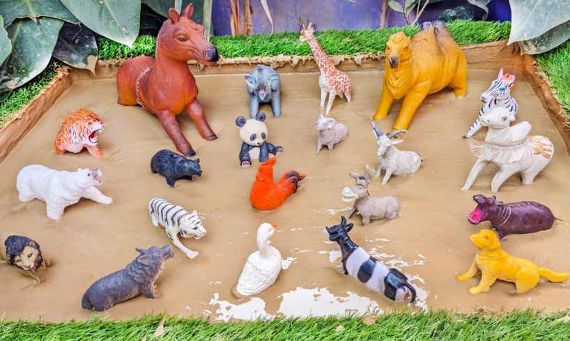 Domestic and Wild Animals Stuck in the Sandbox Adventure 🐫🐯 Play with Amazing Animals