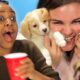 Drunk Girls Get Surprised With Puppies