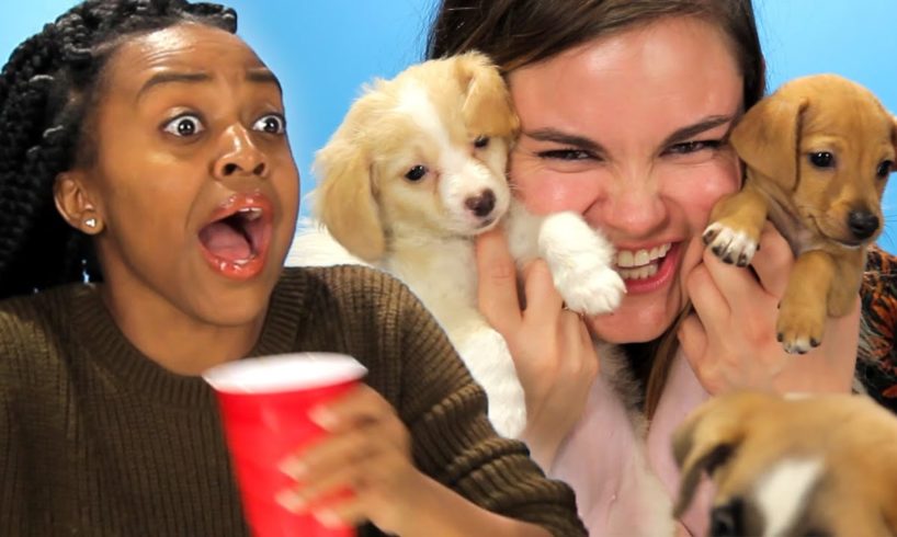 Drunk Girls Get Surprised With Puppies