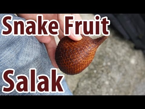 Exotic Fruit: Salak - Snake Fruit!